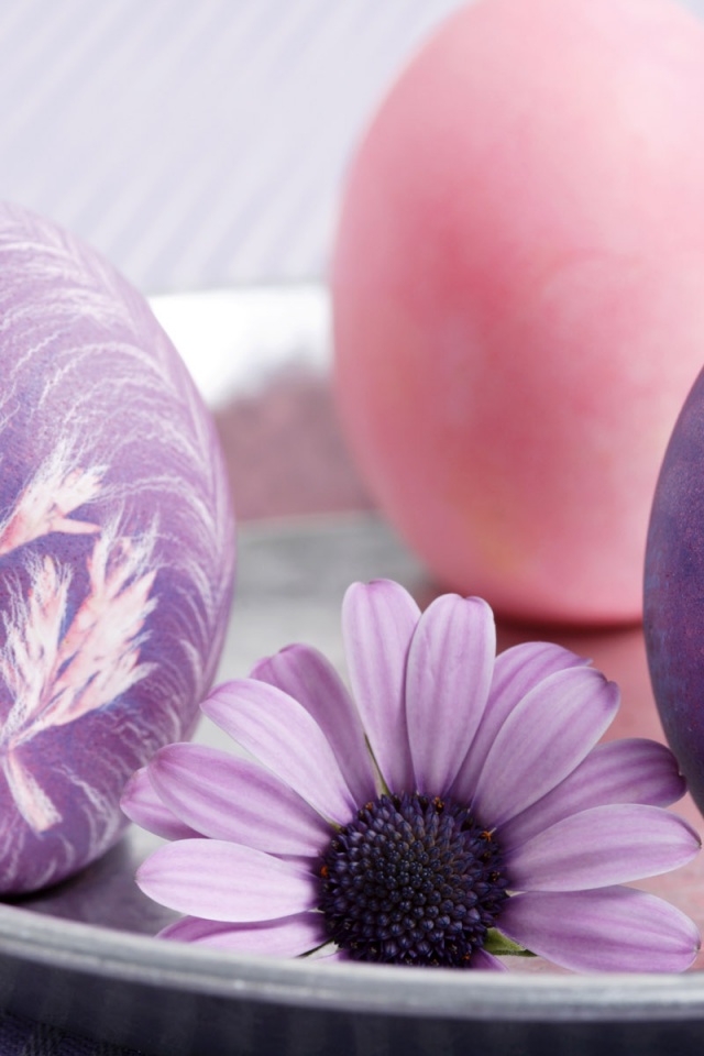 Eggs And A Mauve Flower