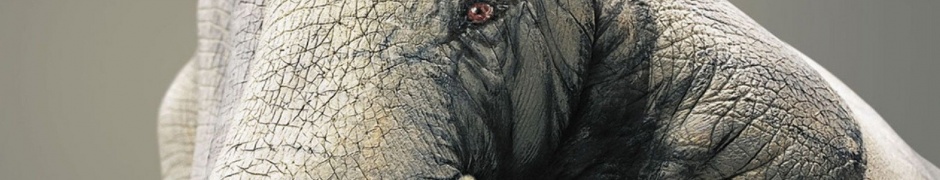 Elephant Figure Hand