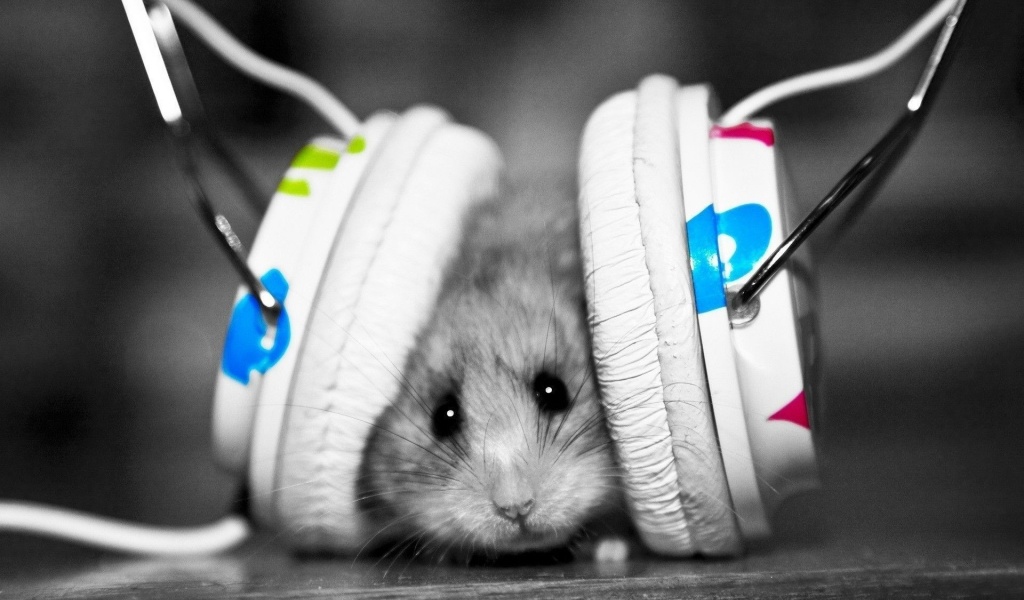 Enjoy Music Animal