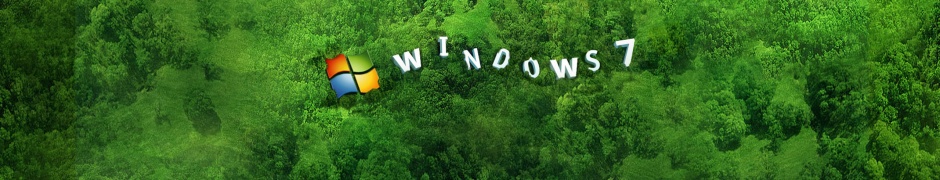 Environmentally Friendly Windows