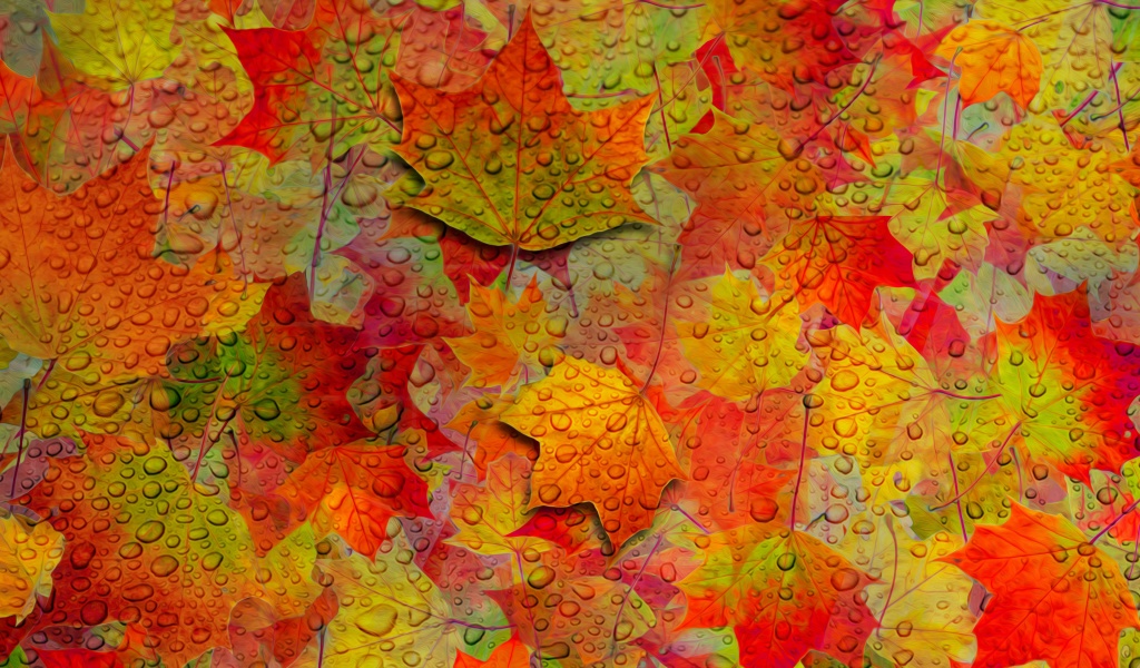 Fall Leaves Pattern