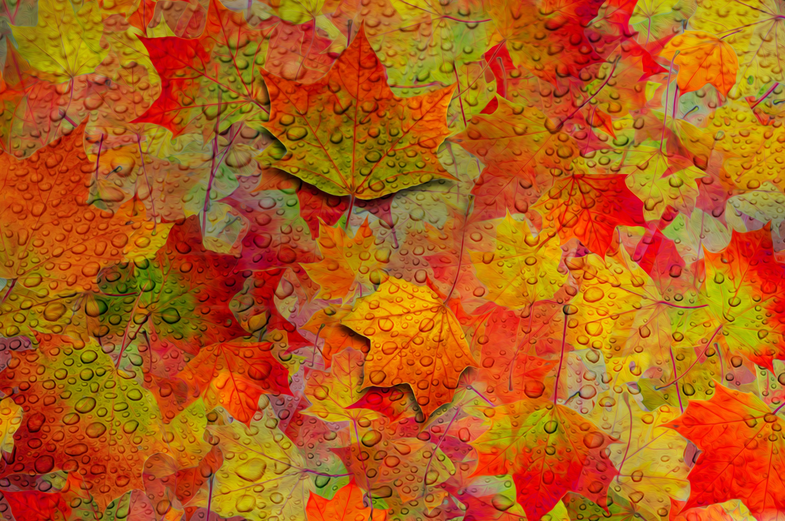 Fall Leaves Pattern