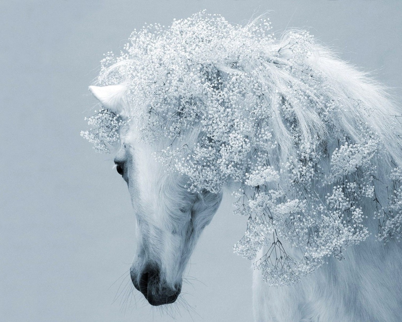 Fantasy Real Horse