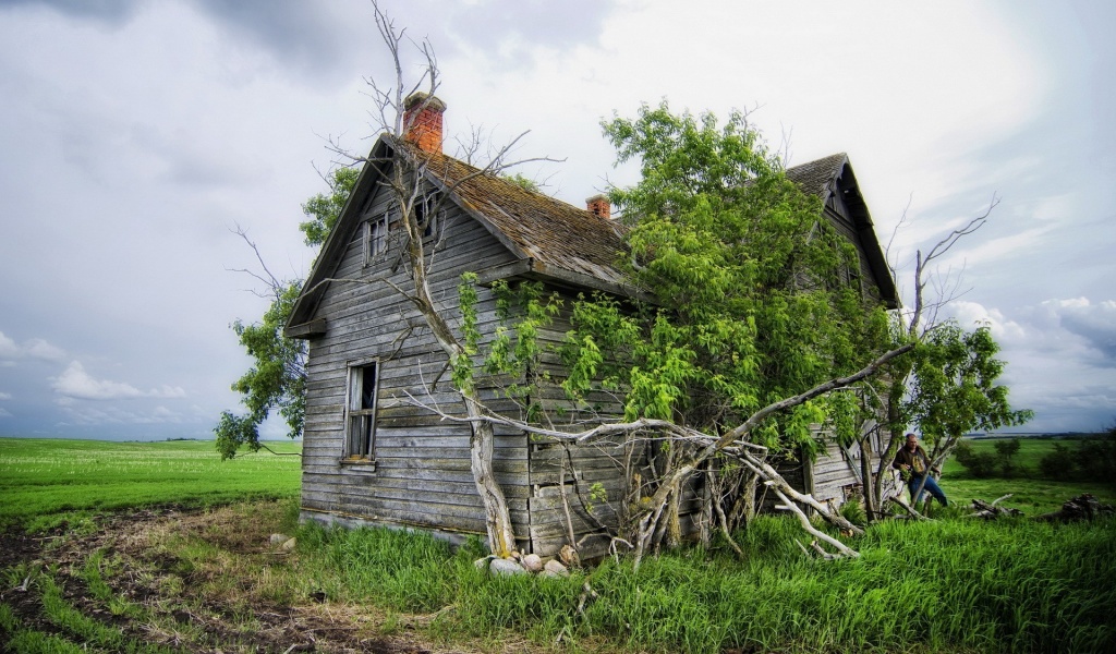 Field House Landscape