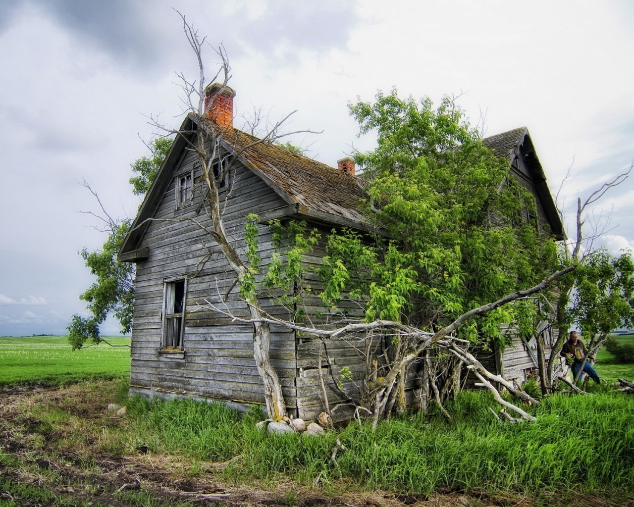 Field House Landscape