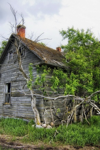 Field House Landscape