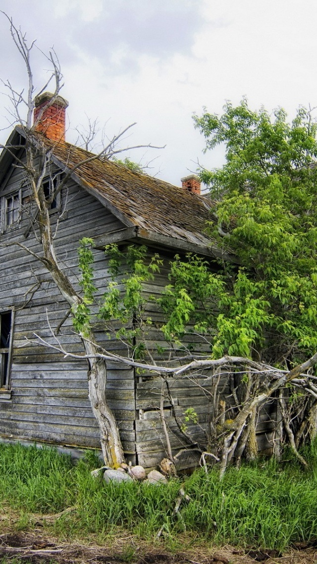 Field House Landscape