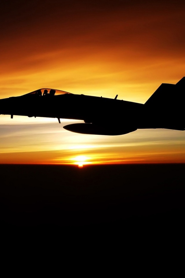 Fighter Flying In Dusk Sky