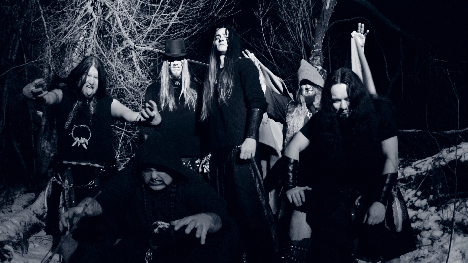 Finntroll Band Night Image Trees