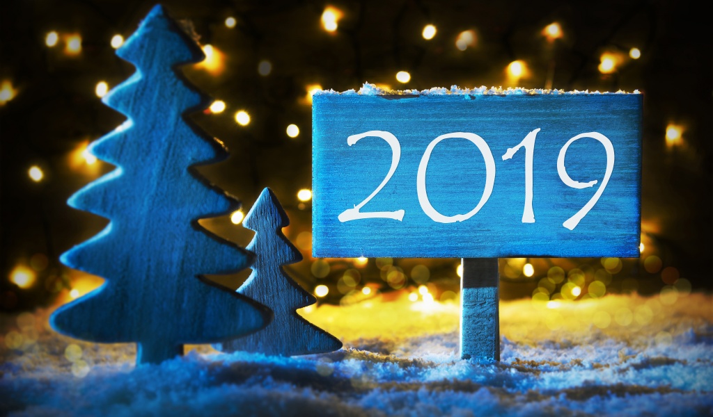 Fir Tree And Sign To 2019 New Year