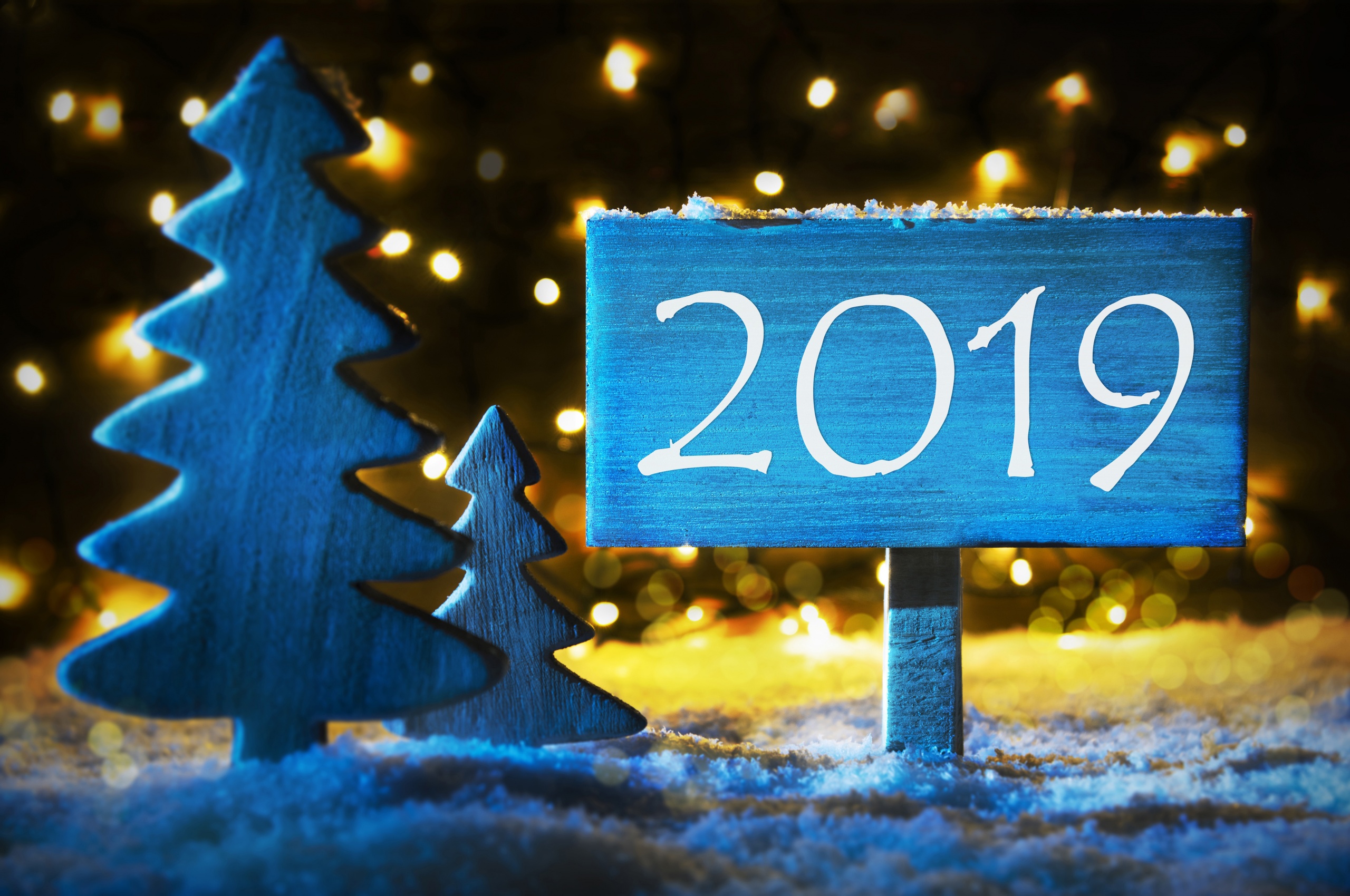 Fir Tree And Sign To 2019 New Year