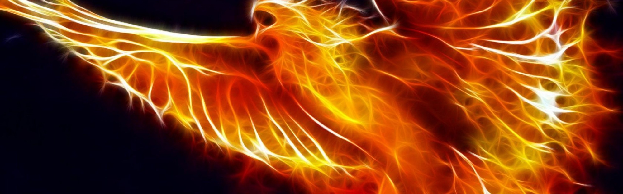 Fire bird