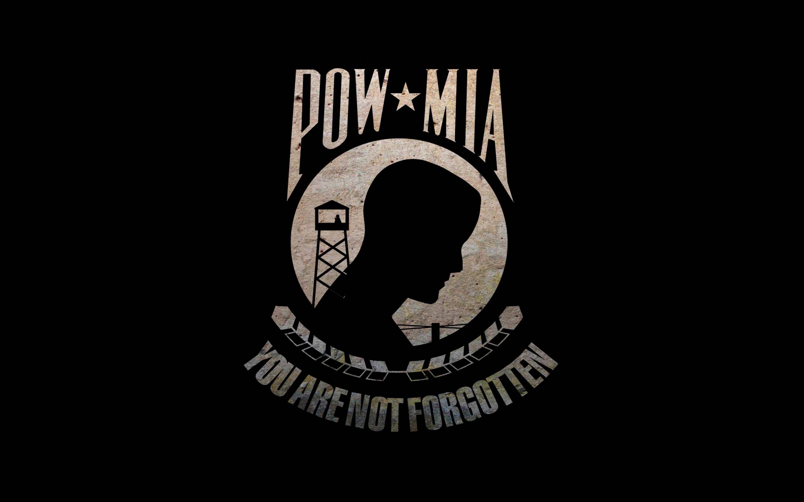 Flag Pow Mia