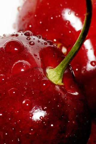 Food Cherries Water Drops Macro Berries