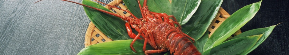Food Lobsters