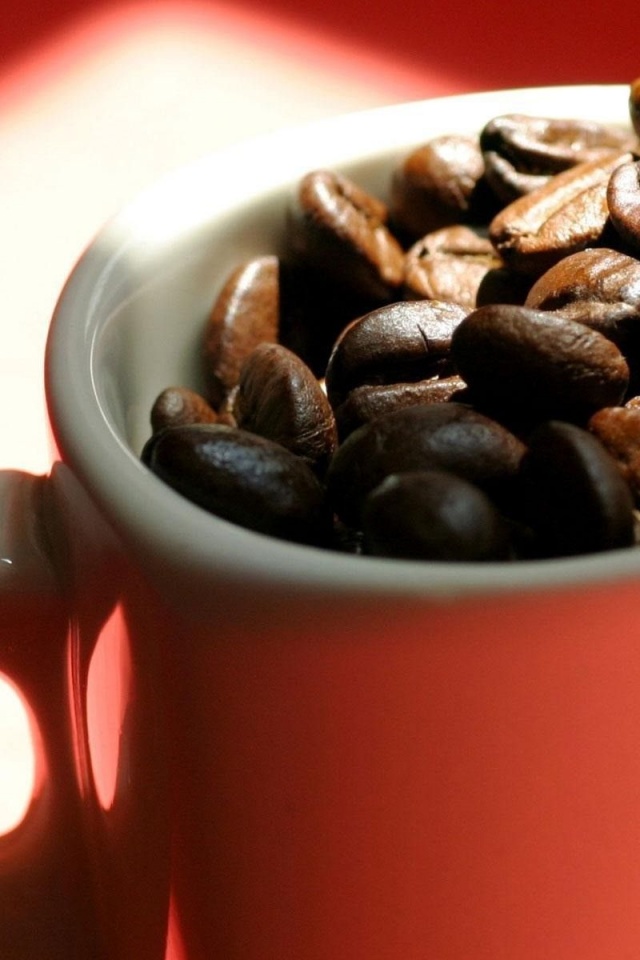 Food Mug Coffee Beans