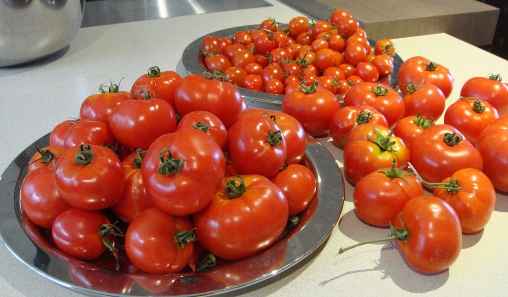 Food Tomatoes 1