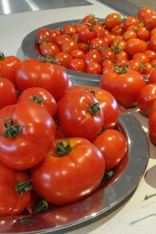 Food Tomatoes 1