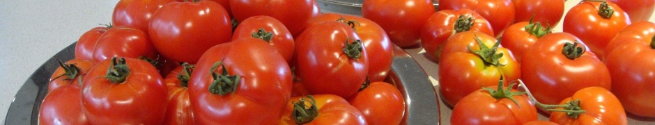 Food Tomatoes 1