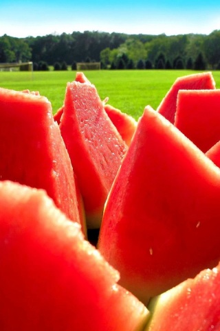 Food Watermelons