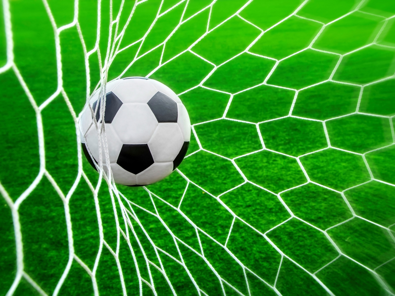 Football Ball In The Net