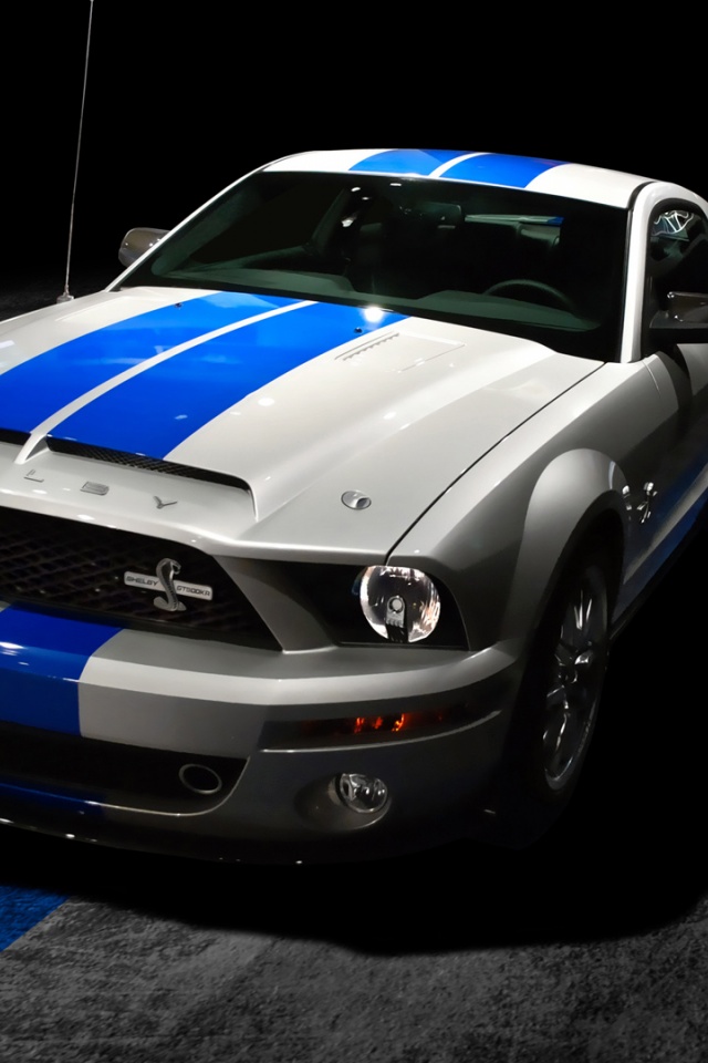 Ford Mustang Shelby Gt500 2013