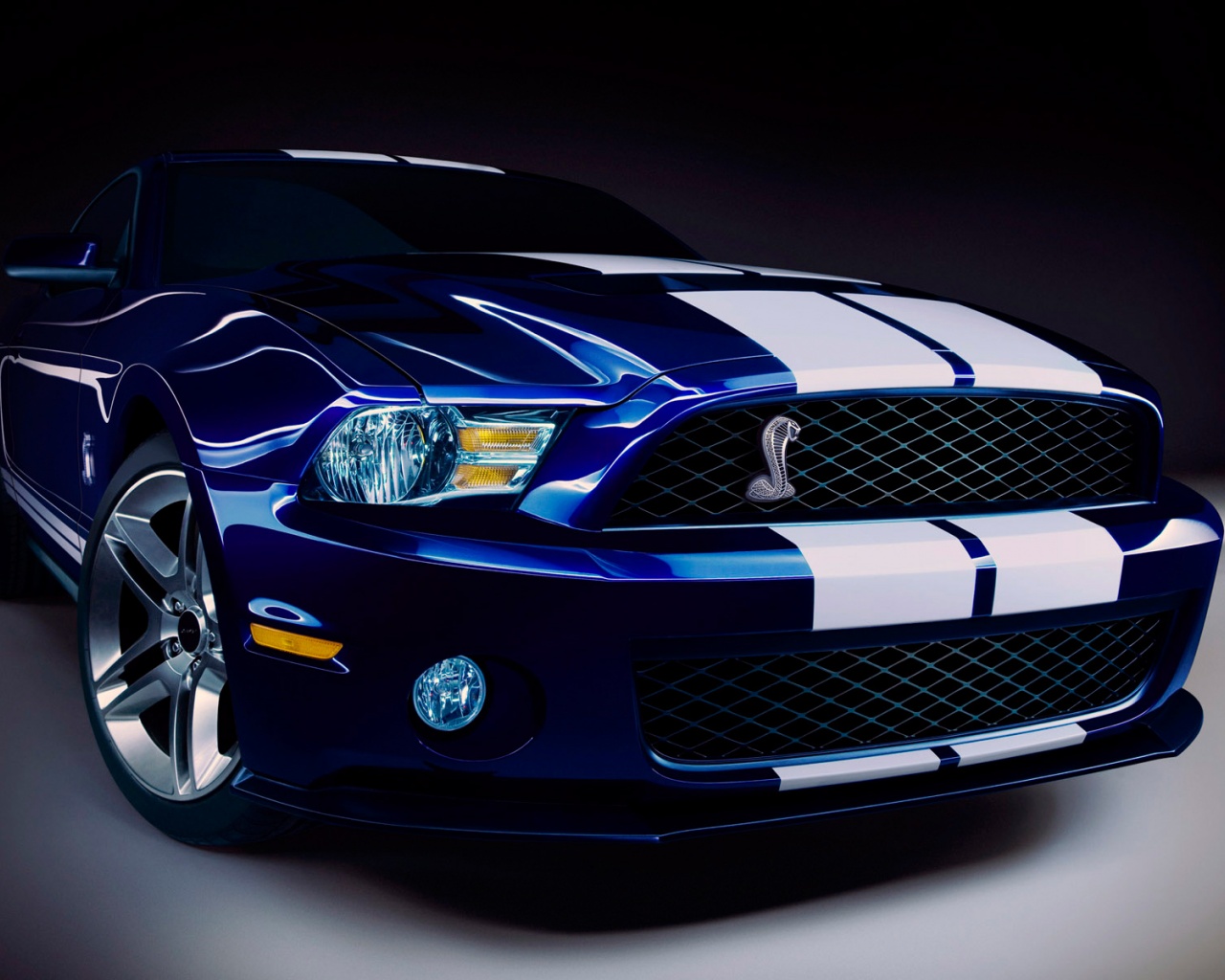 Ford Shelby Gt500