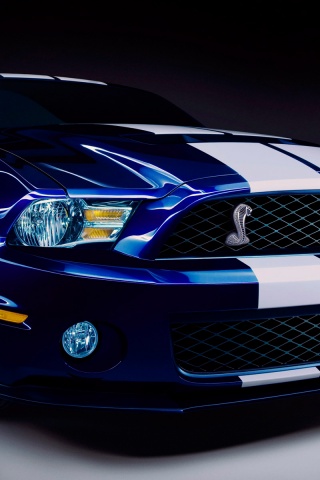 Ford Shelby Gt500