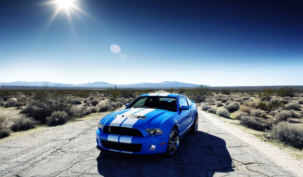 Ford Shelby Gt500 Car