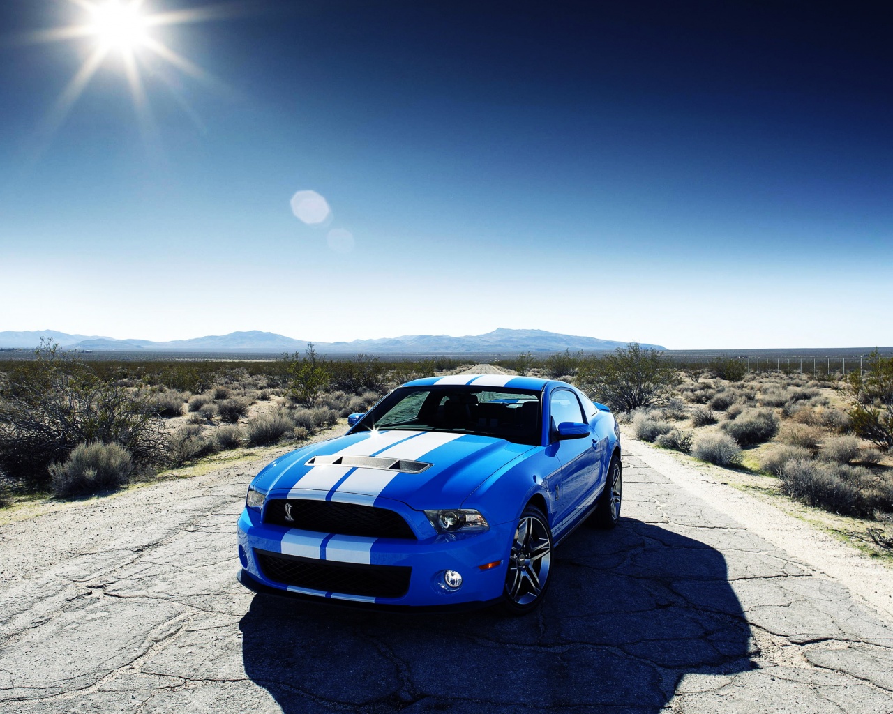 Ford Shelby Gt500 Car