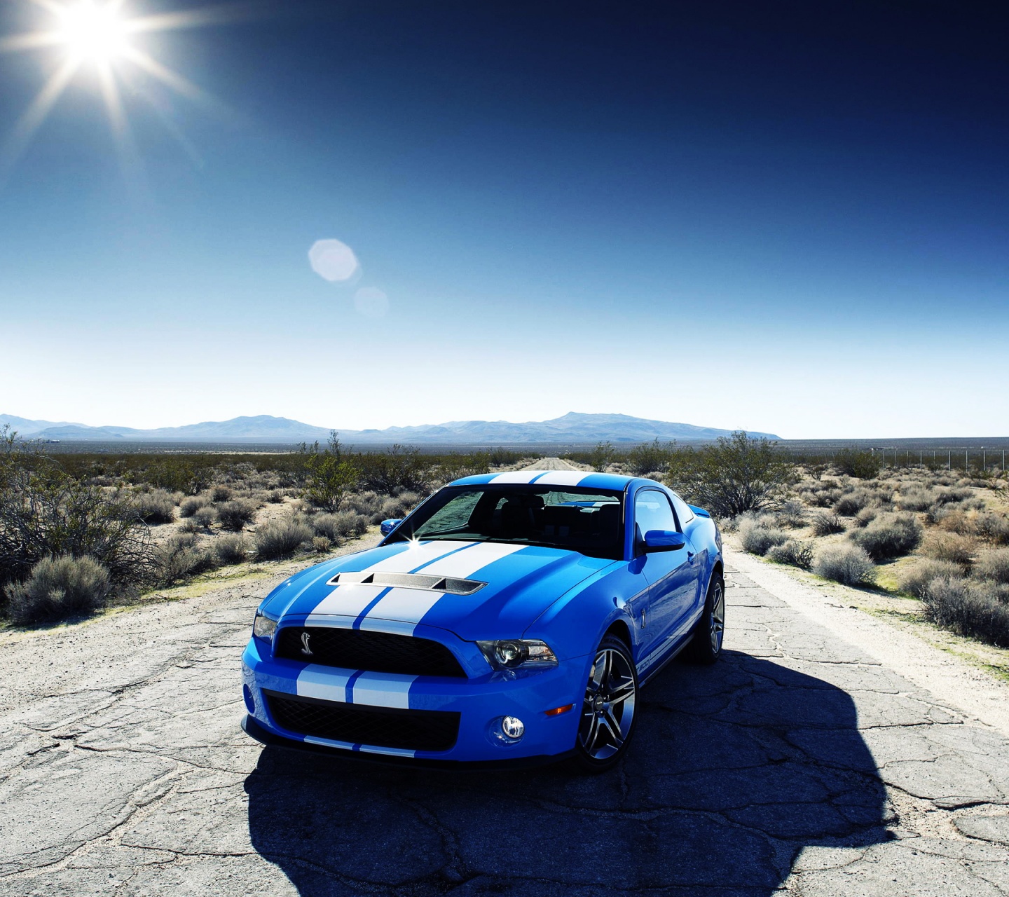 Ford Shelby Gt500 Car