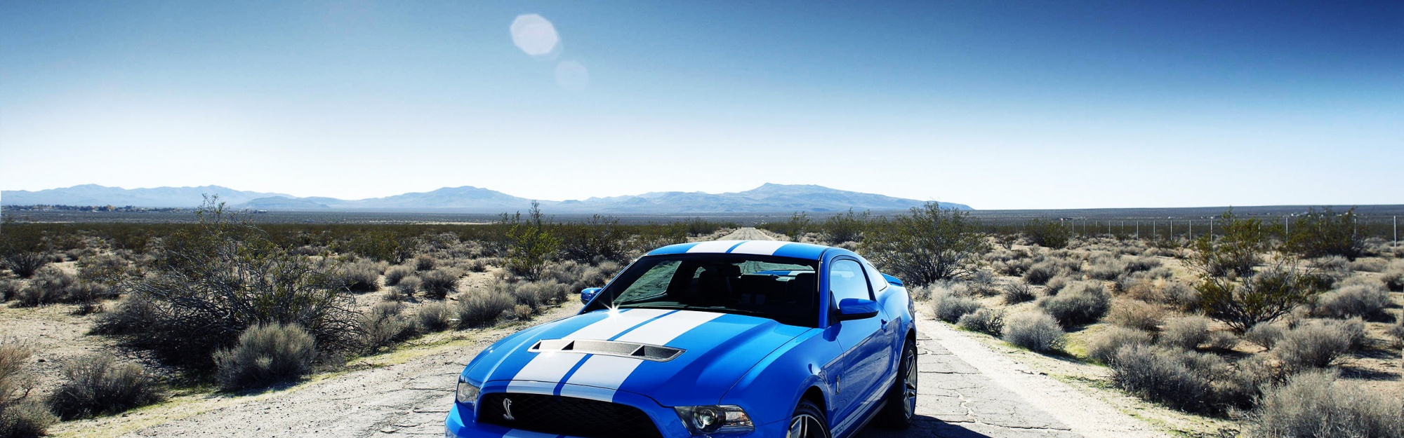 Ford Shelby Gt500 Car