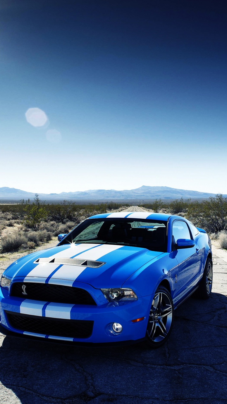 Ford Shelby Gt500 Car