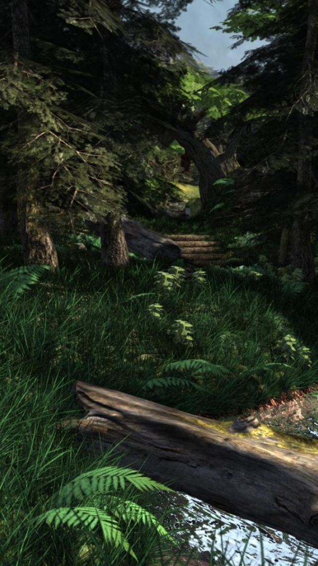 Forest Render Still High Nature Others 3D