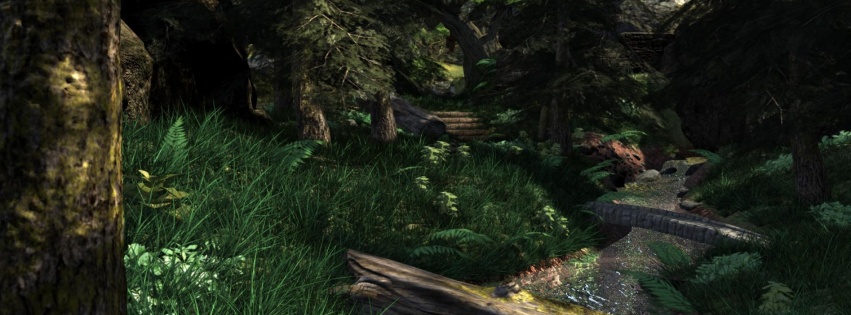 Forest Render Still High Nature Others 3D