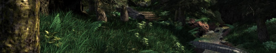 Forest Render Still High Nature Others 3D