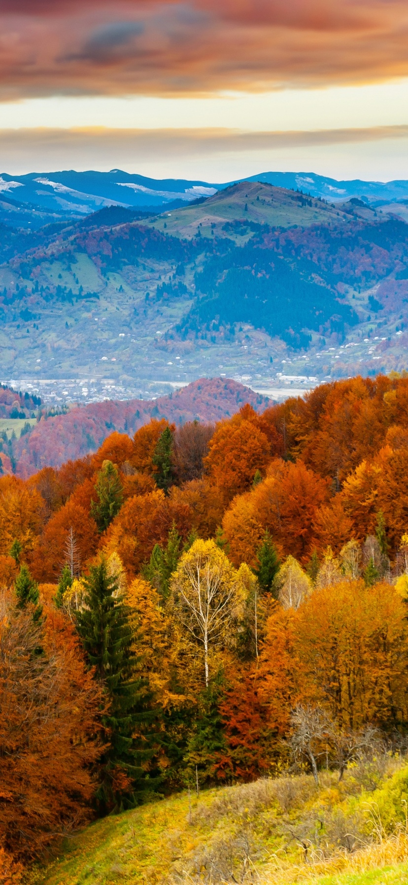Forest Scenery Autumn Nature