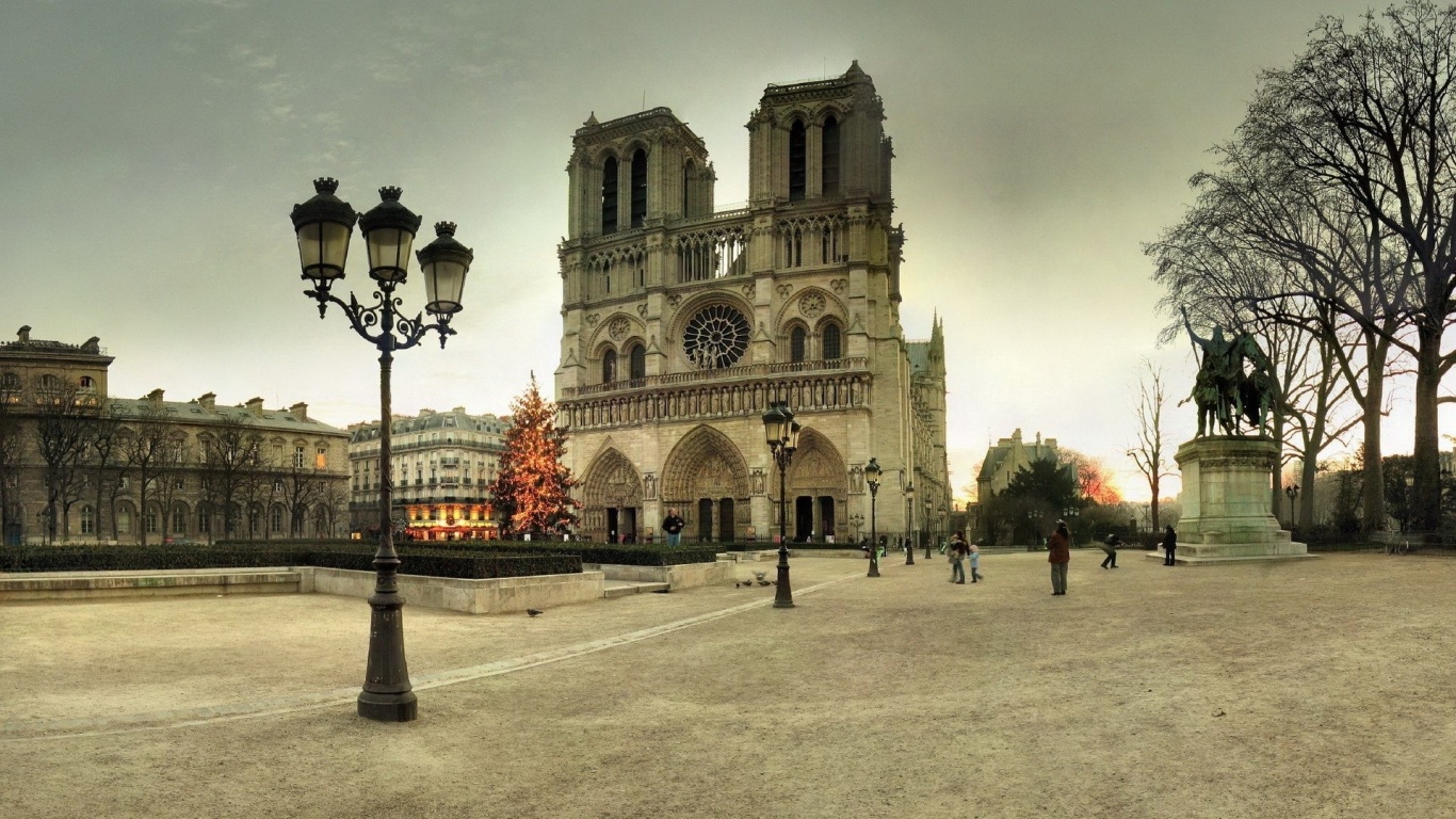 France Notre Dame De Paris Paris Tree Winter New Year Area Notre Dame Lights City Landscape