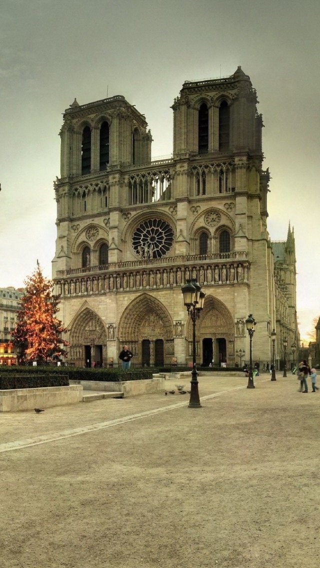 France Notre Dame De Paris Paris Tree Winter New Year Area Notre Dame Lights City Landscape