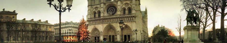 France Notre Dame De Paris Paris Tree Winter New Year Area Notre Dame Lights City Landscape