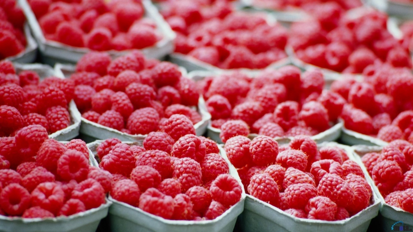 Fruits Food Berries Rasberries