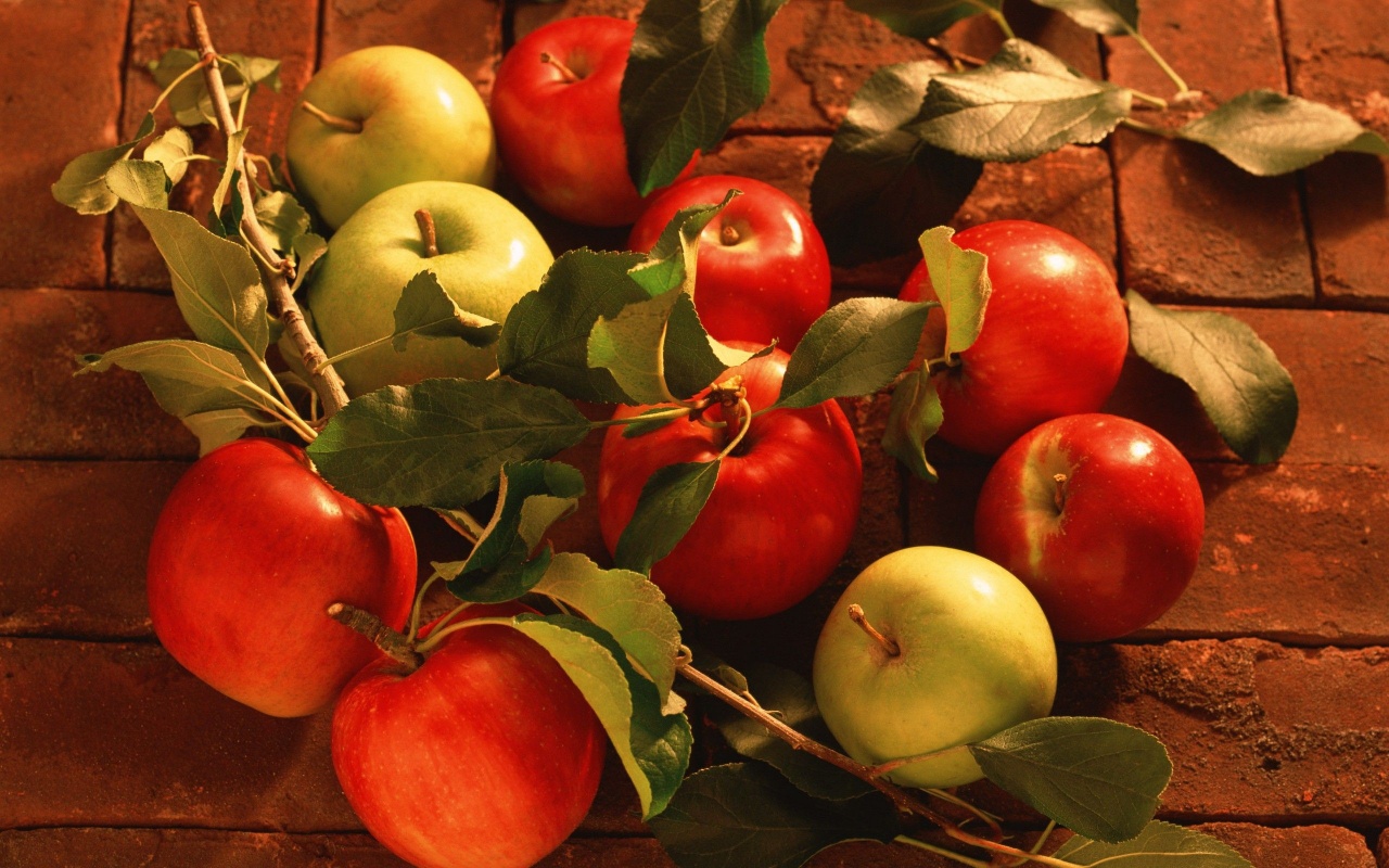 Fruits Food Bricks Apples