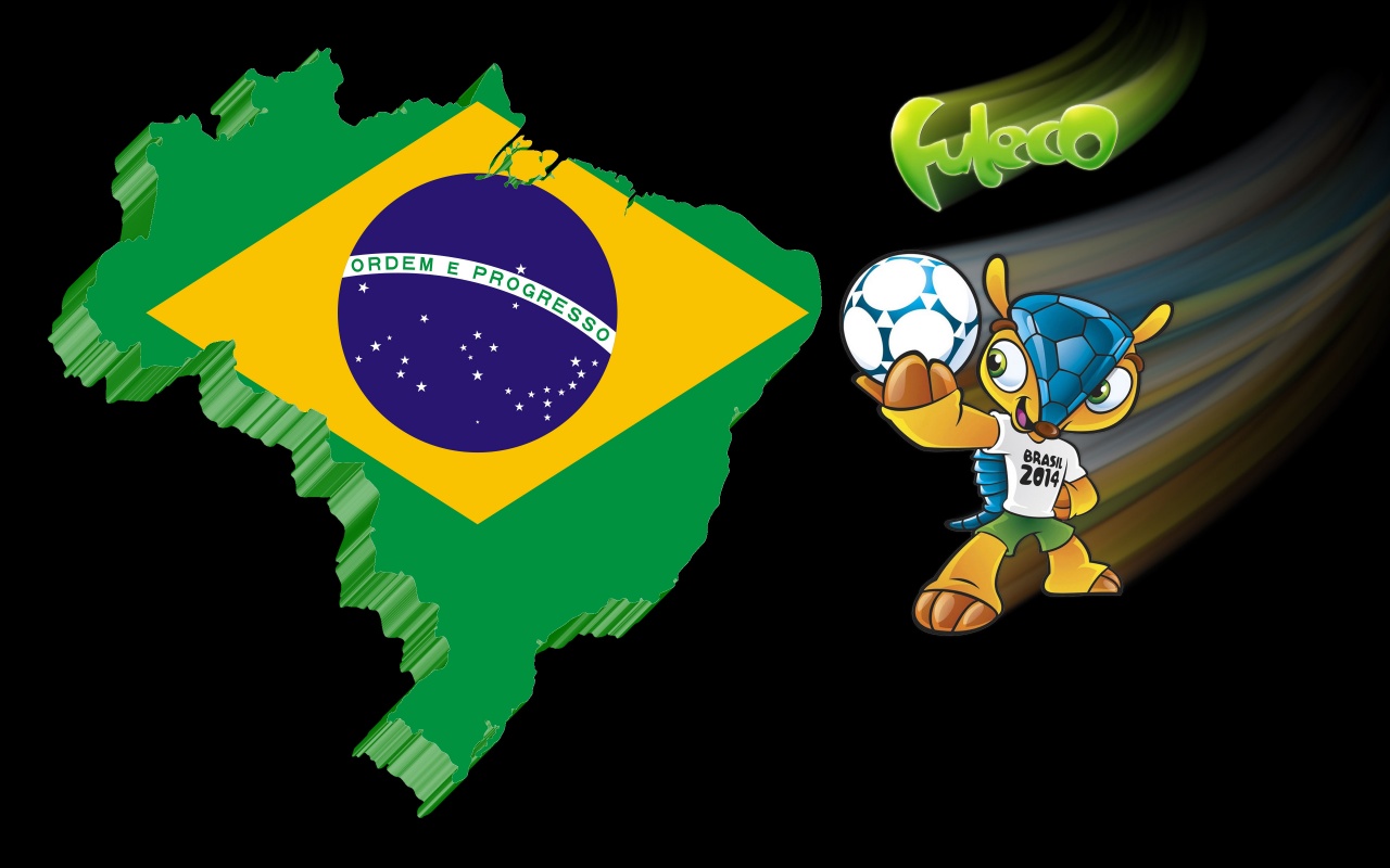 Fuleco Mascot Brazil 2014 World Cup