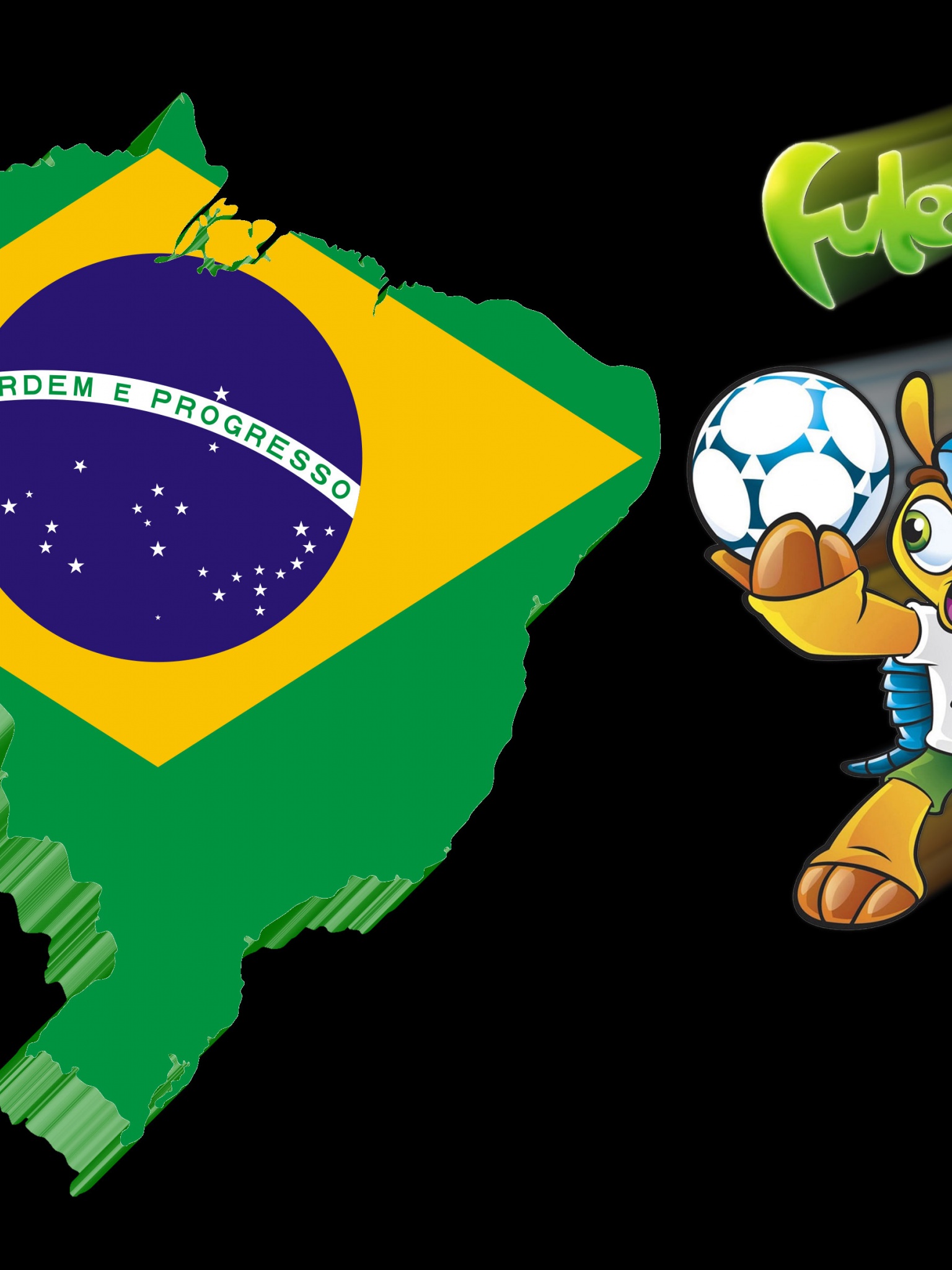 Fuleco Mascot Brazil 2014 World Cup