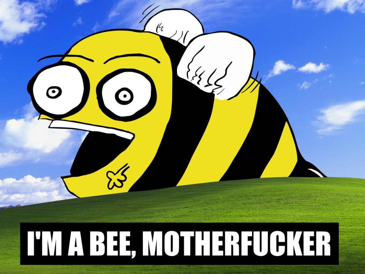 Funny Bees