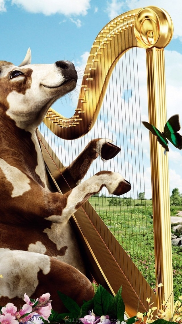 Funny Cows Singing