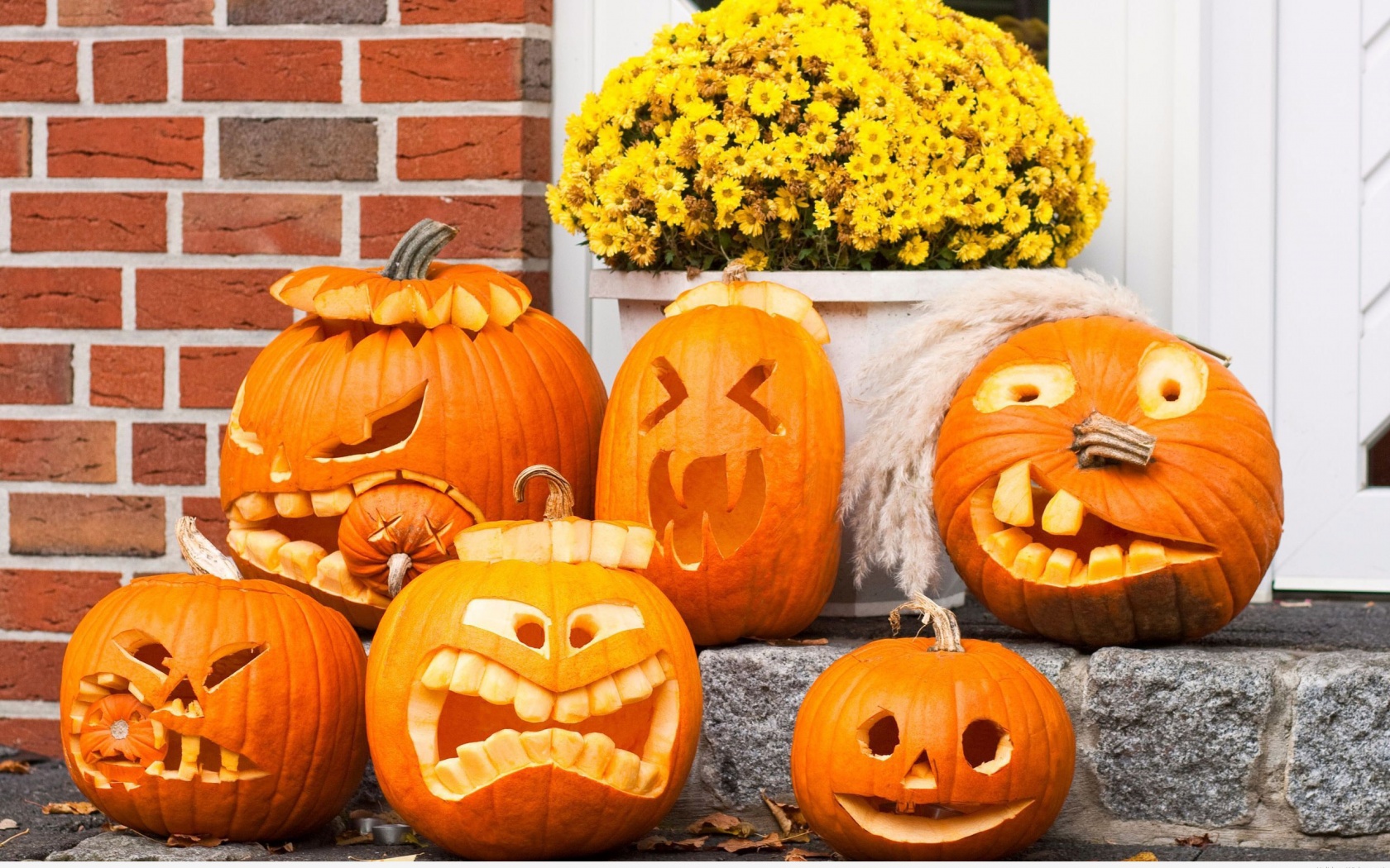 Funny Halloween Pumpkins