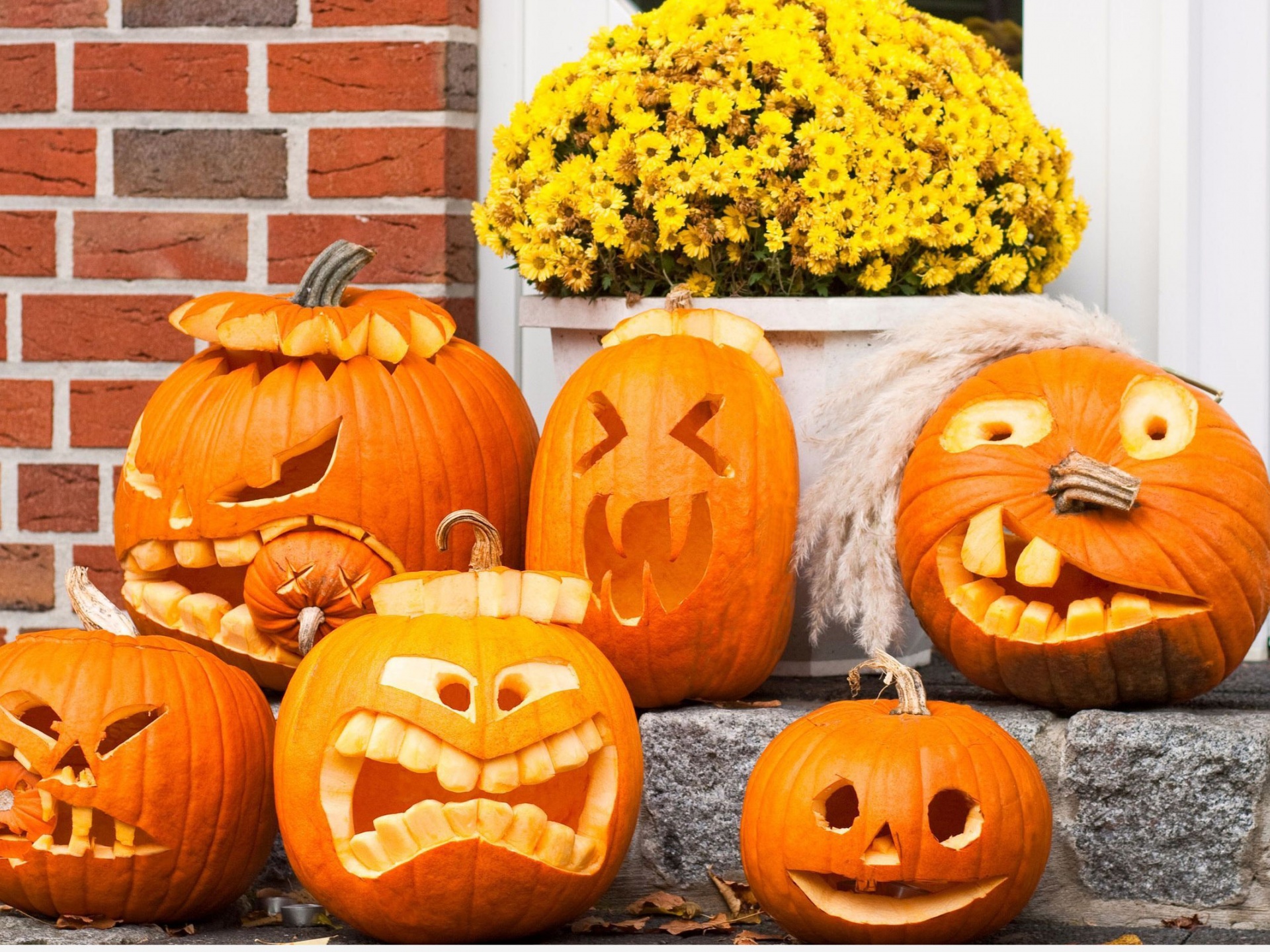 Funny Halloween Pumpkins