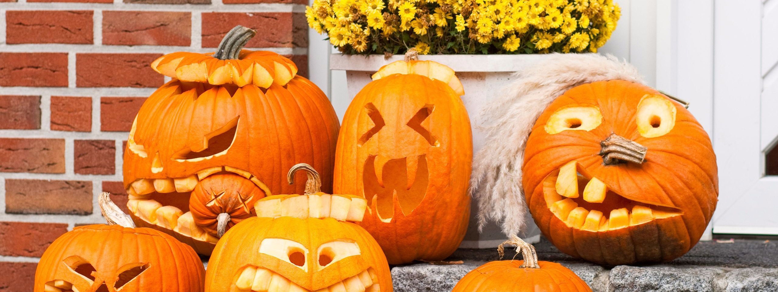 Funny Halloween Pumpkins