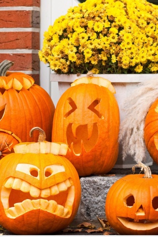 Funny Halloween Pumpkins